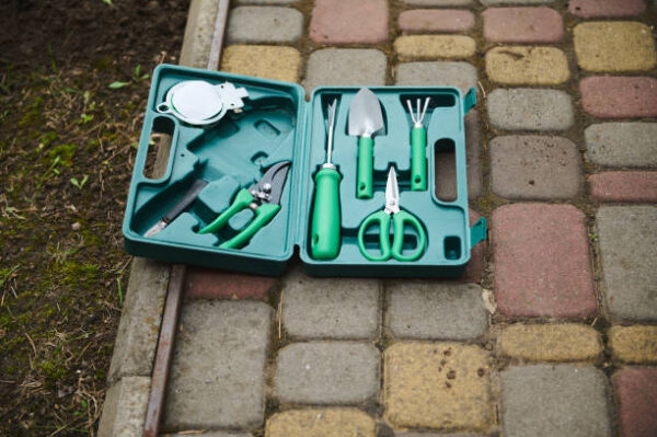 Istockphoto 1396125251 612x612