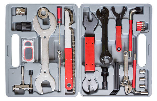 Bicycle professional tool box